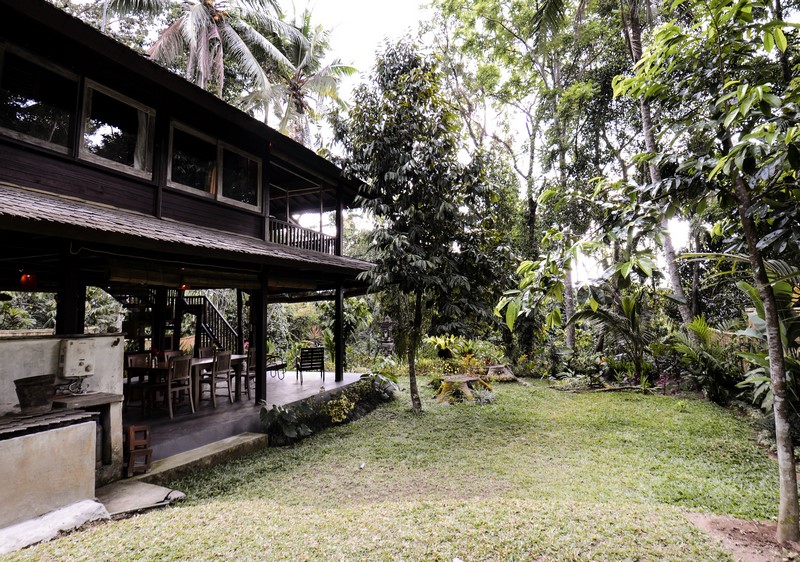 gallery19